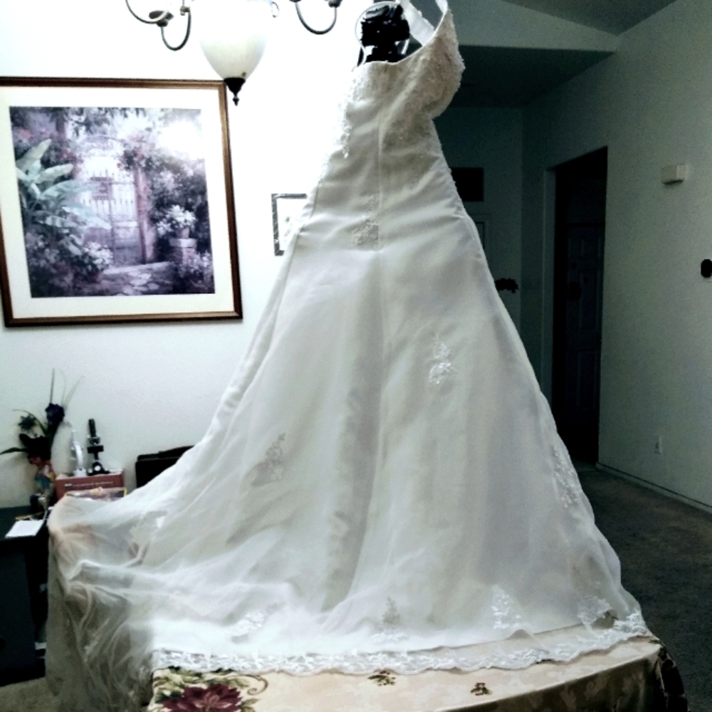 Bridle Gown